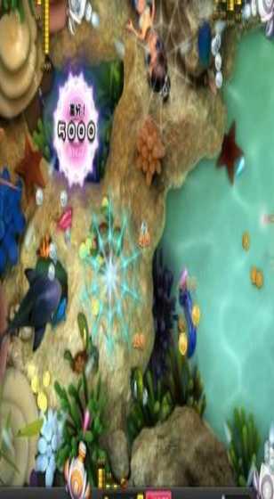 一块石头的“晶”彩三重奏