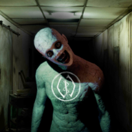 金刚直播官网大陆版